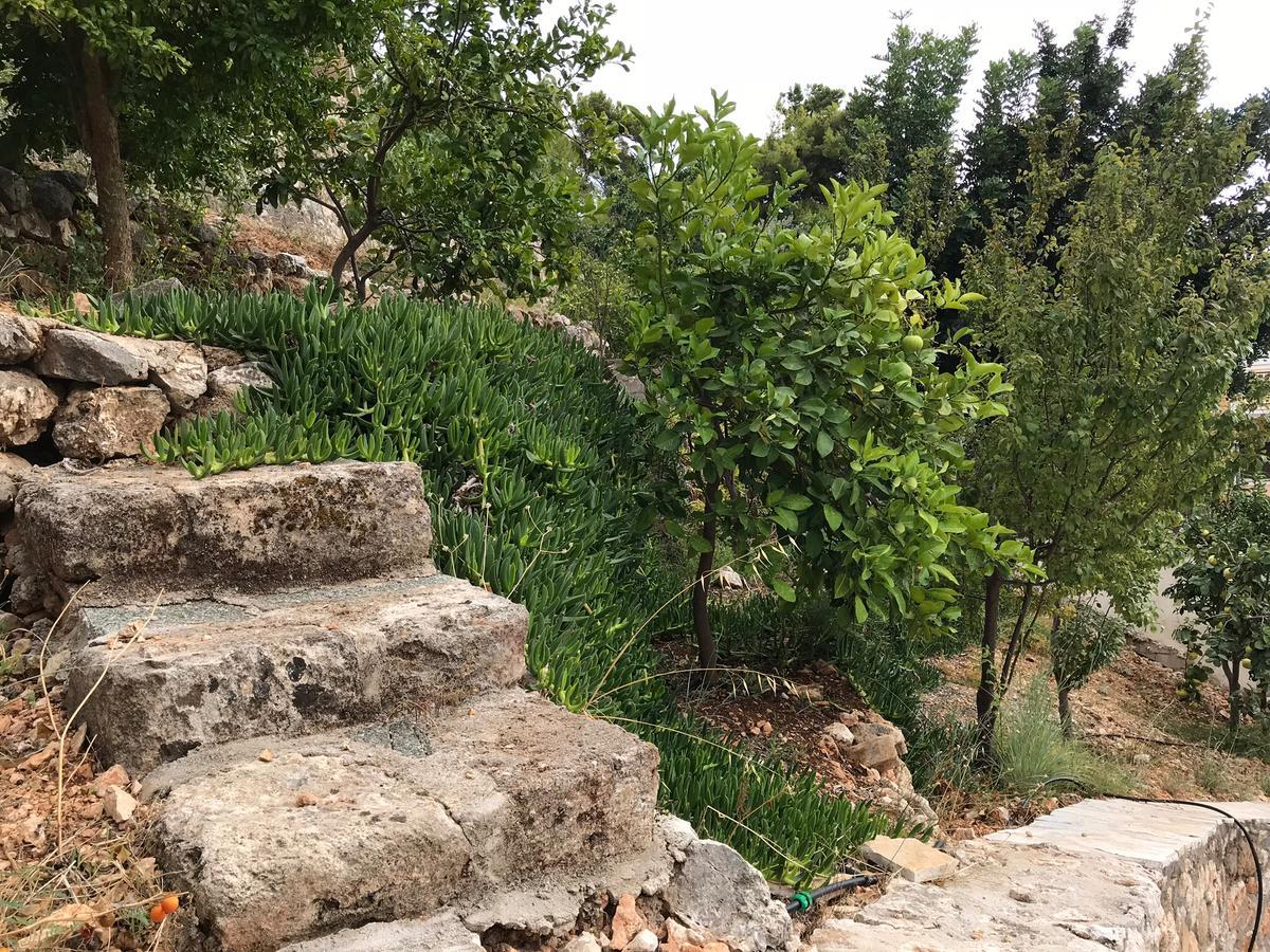 Katarina Apartments Kefalonia - Sea View Argostoli  Exterior foto